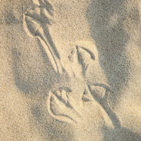 Apartamento White Island Z Basenami,strefa Saun,jacuzzi W Cenie- Pinea Pobierowo-sannel For Rent