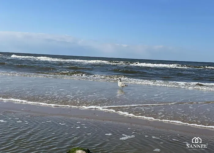 White Island Z Basenami,strefa Saun,jacuzzi W Cenie- Pinea Pobierowo-sannel For Rent