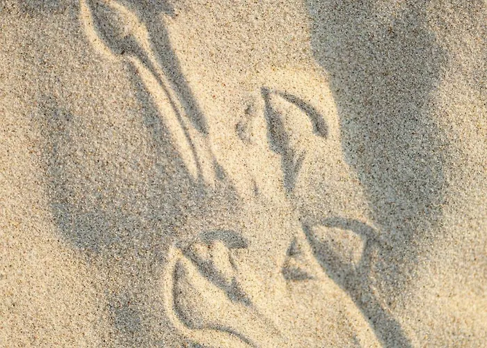 شقة White Island Z Basenami,strefa Saun,jacuzzi W Cenie- Pinea Pobierowo-sannel For Rent